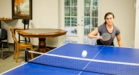 Ping Pong Table in the Game Room