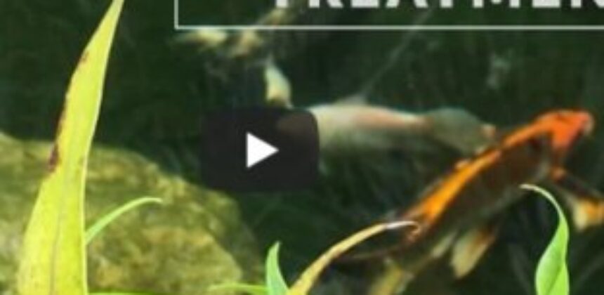 Hypnotherapy Treatment Futures Recovery Healthcare