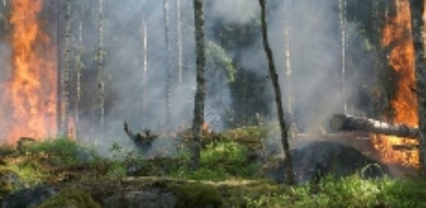 Assessing the Risk of Mental Health Disorders for California Wildfire First Responders