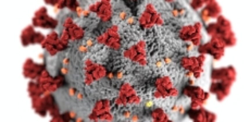 Working the 12 Steps on COVID-19