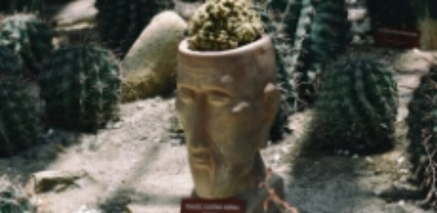 Alcohol, Addiction, and The Brain What You Should Know