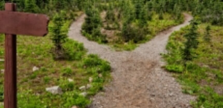 Multiple Pathways of Recovery