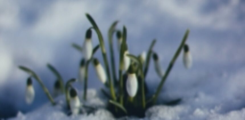 Seasonal Affective Disorder and COVID How to Cope