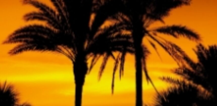 Florida Drug Rehab - Futures Recovery Healthcare